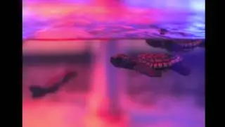 Trippy Turtle - Take U Down