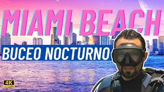 Buceo Nocturno en Miami Beach || Night Dive In Miami Beach || Scuba Diving at night in South Beach