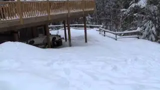 Charlie the Snowhound