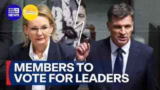 Liberal to vote for new party leader, with Angus Taylor favoured | 9 News Australia