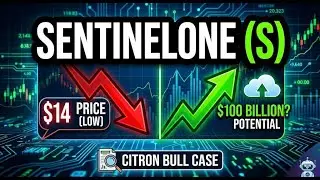 SentinelOne ($S): The $100 Billion Opportunity Hiding in Plain Sight?