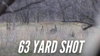 Turkey Down at 63 Yards | South Dakota Turkey