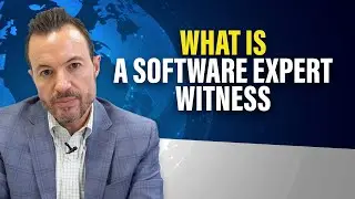 What Is an ERP Software Expert Witness? [Analyzing Implementation Failures and Lawsuits]