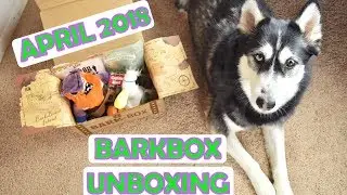 SIBERIAN HUSKY | BarkBox Unboxing #2