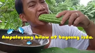 Funny Eating: Ampalayang hilaw at  bagoong isda