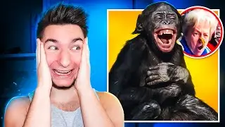 MAŁPY rzucające GÓWNEM w LUDZI !🙉 ( KOMPILACJA😂 )