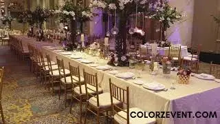 Wedding Party Planner In Kuala Lumpur & Selangor | Stylish Reception