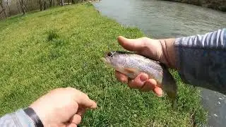 Lyle Stokes fly rod, 