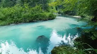 #Футаж голубая река среди леса ◄4K&bull;HD► #Footage blue river in the forest