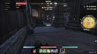 ESO PS5 PVP Stealth mode activate