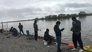 SHEEPSHEAD AND WHITE BASS FISHING