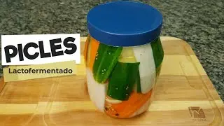 PICLES EM CONSERVA | LACTOFERMENTADO | PICKLES | PROBI&Oacute;TICO | COMO FAZER PICLES