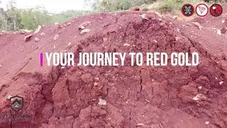 YOUR RED GOLD JOURNEY - TTI/XUSDT
