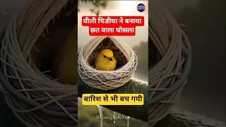 🐦The Wise Bird Moral Story | Short Story for Kids | Bedtime Fable with Life Lesson #bird  #ytshorts