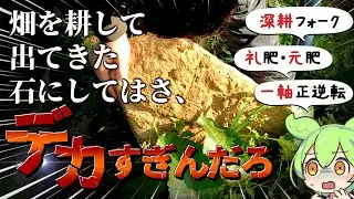 【今年は妻も土作り！？】３年目の若木の土作り・礼肥と元肥・バックホーと深耕フォークと耕運機！【2026年ブドウ栽培編#1】