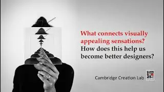 What connects visually appealing sensations?  How does this help us become better designers?