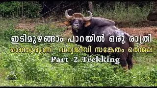 തെന്മല - ഇടിമുഴങ്ങാംപാറയിൽ ഒരു രാത്രി - Part 2 (trekking) Shendurney Wildlife Sanctuary
