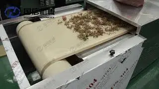Pepper microwave dryer, green pepper microwave sterilization drying machine