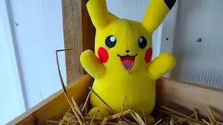 Oh JoY :) MORE chicken coOp bunkBEDS + new RAMP + I found a wild Pokemon +chickyBabe (bonusVid 6:)