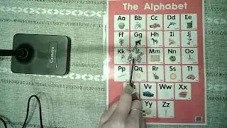 Beginning Sound & Letter Name Practice - Practica los sonidos iniciales y los nombres de las letras.