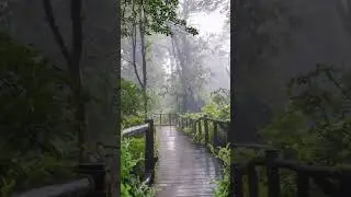 Having a walk in the rain is fantastic, fresh air, nature sounds and peaceful..✍️