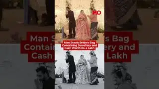 Jaipur Wedding Theft Caught On Camera| Mo of Everything