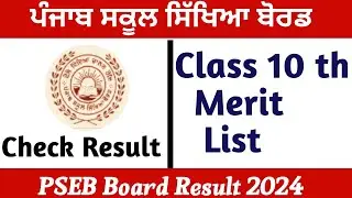 Pseb Class 10 th Merit List 2024 final Exam