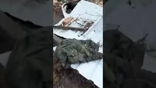 🔴 Destroyed Russian Military Equipment