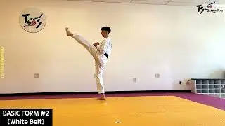 Basic Form #2