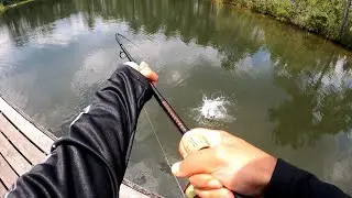 Dock Fishing for BLUEGILL and CATFISH
