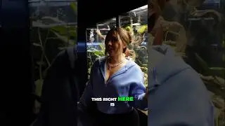 Этот вольер просто невероятный!