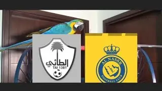 Al Tai vs Al Nassr Prediction - Saudi Professional League - Parrot Prediction