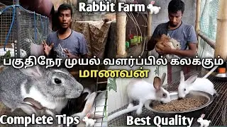 Rabbit Farm in  Chennai I முயல் பண்ணை