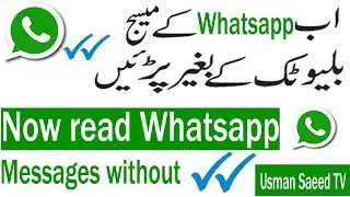 Now seen whatsapp nessages without blue ticks