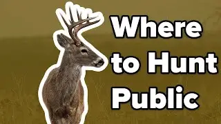 Where To Hunt Public