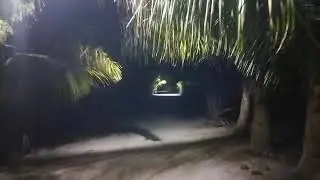 On the way from the beach  Night jungle, Thoddoo, Maldives  По дороге с пляжа  Ночные джунгли, Тодду