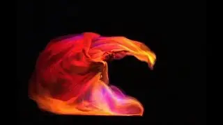 Loie Fuller's 