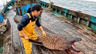 Never Seen! Giant Eel fish Cutting In The Boat Hidden Paradise Village Fish Market