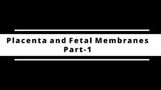 placenta and fetal membranes