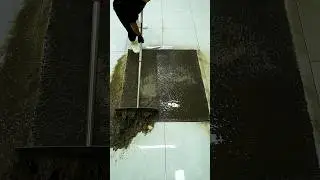 INSANELY DIRTY Carpet Clean &ndash; Satisfying ASMR Sounds! #asmr #carpetcleaning #woolrugcleaning
