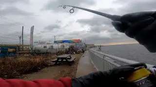 Herring Fishing - The ROCKAWAY BEACH FERRY - Fishing the Breakwall
