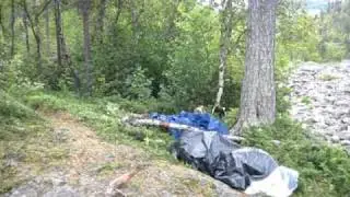 De Svenske skoger, p&aring; helgetur i Laisvall