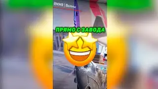 💲СКОЛЬКО СТОИТ ИНВЕНТАРЬ MRBEAST В КС2 #cs2 #csgo #shorts