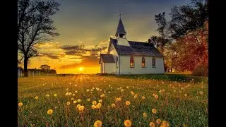 Forgiveness and Peace