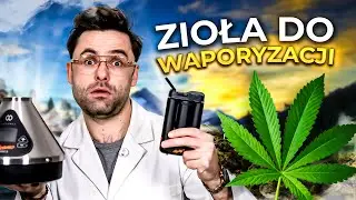 Jakie ZIOŁA można łączyć z MEDYCZNĄ?