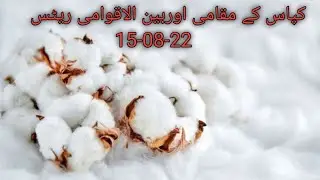 cotton price today||international cotton rate today||kapas ka rate today