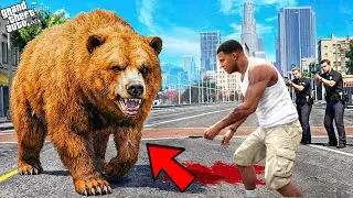 Franklin Capturing Most Dangerous Bear In Los Santos || Gta 5
