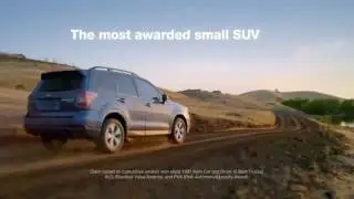 Napleton's Auto Group Subaru Every Road Tag Revised