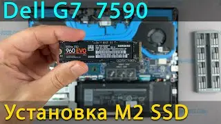 Обновление M2 SSD в ноутбуке Dell G7 15 7590 &mdash; инструкция по установке