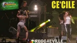 Ce'Cile - Hot Like We @&nbsp;Rototom Sunsplash 2013 [August 21st]